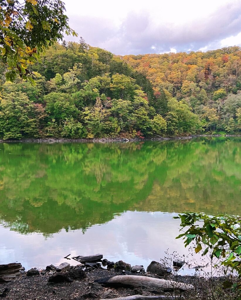 半月湖　中央