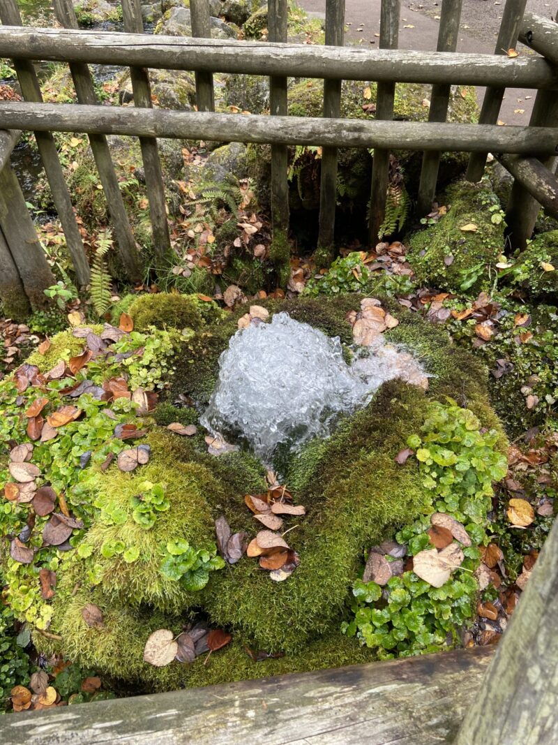 京極町　噴き出す水