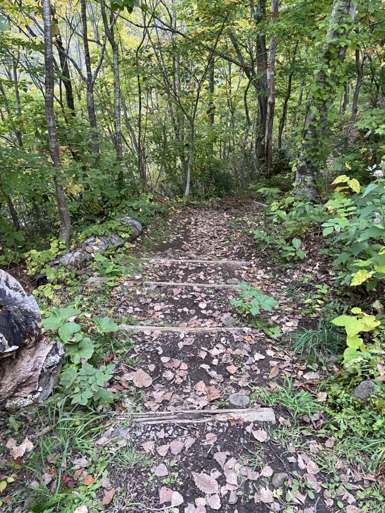 半月湖　遊歩道　下り道