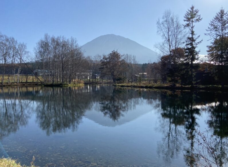 11月の羊蹄姿御池